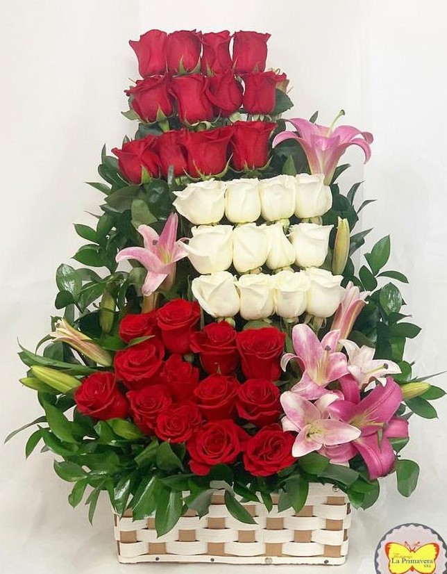 Canasta Tricolor