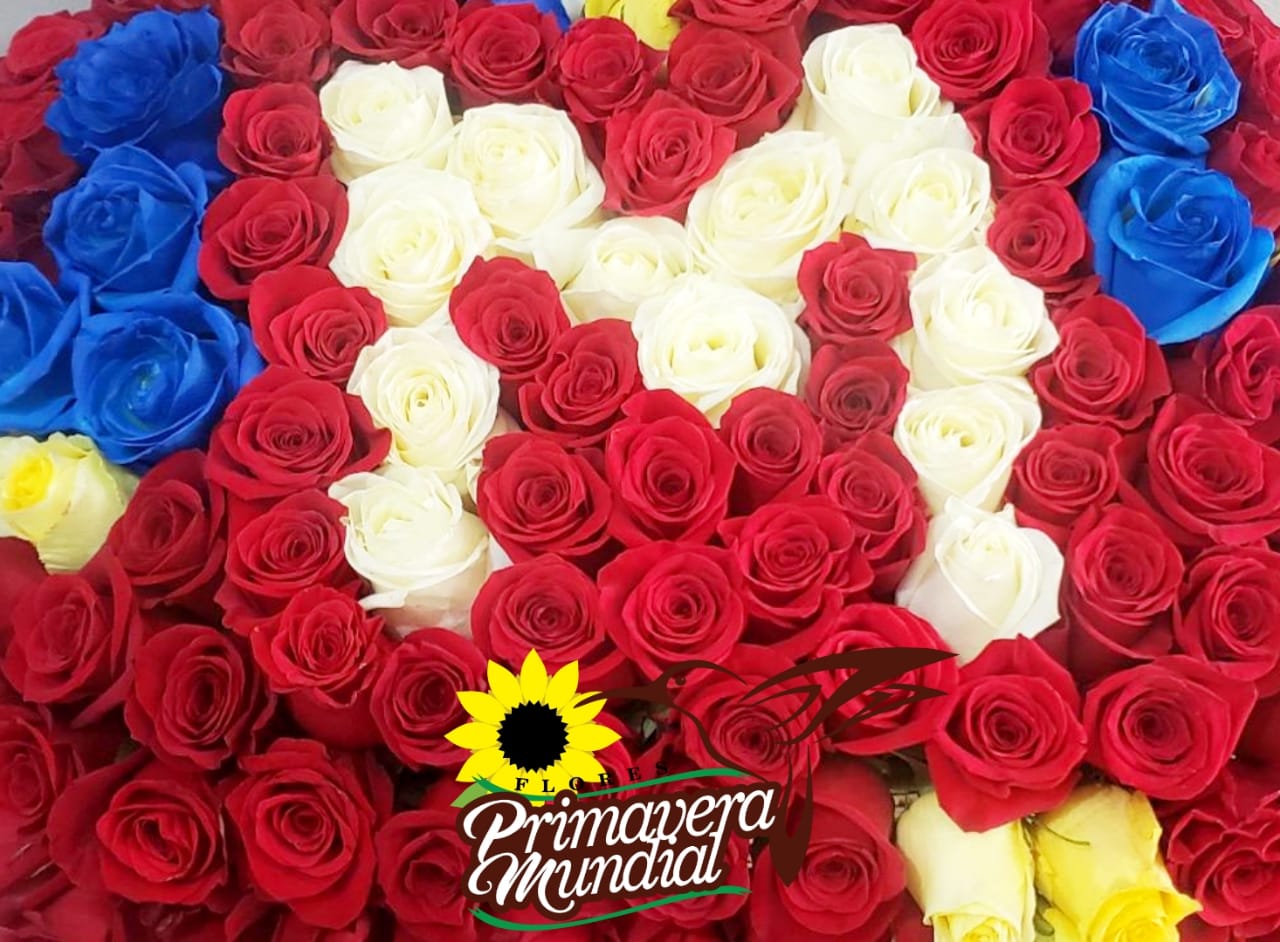 Corazón Abundante