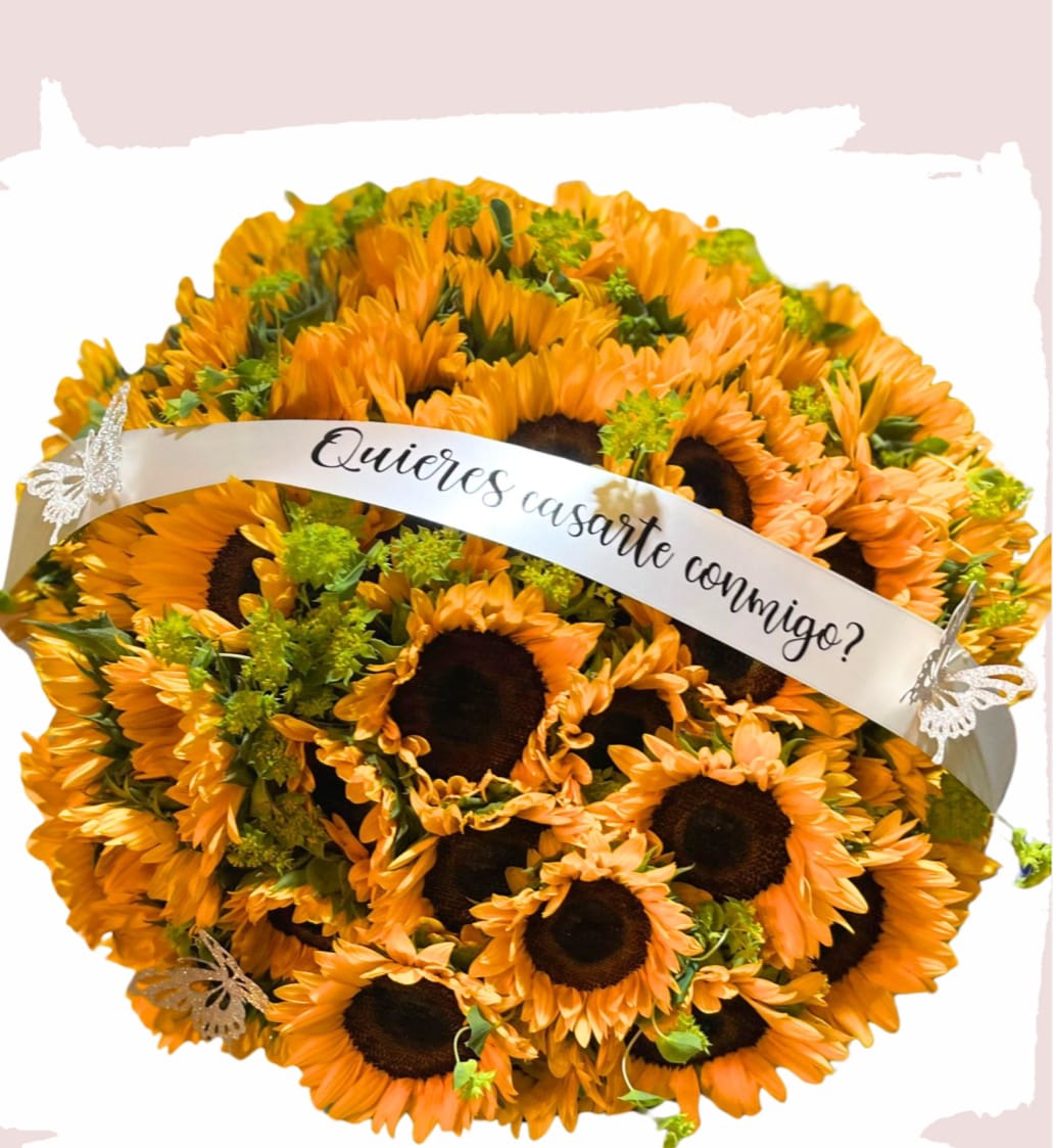 Círculo de Girasoles